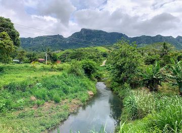 fiji/coral-coast/landmark/koroyanitu-national-park