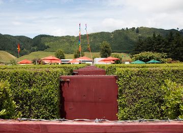 new-zealand/bay-of-plenty/landmark/amazeme