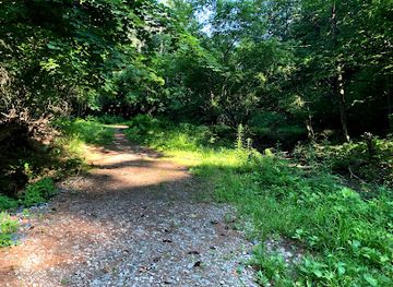 new-hampshire/hanover/landmark/girl-brook-trails