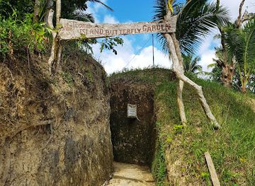philippines/siquijor/landmark/butterfly-sanctuary