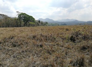 nicaragua/segovias/landmark/ciudad-nueva-segovia-ruinas-santa-maria-de-la-esperanza-primera-ciudad