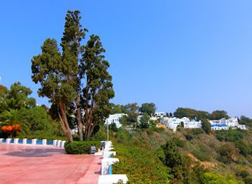tunisia/central-tunisia/landmark/ennejma-ezzahra-palace