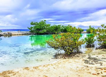 curacao/jan-thiel-beach/landmark/jan-thiel-zoutpannen