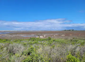 Salinas River National Wildlife Refuge