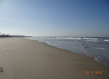 california/san-diego/pacific-beach/landmark/muscle-beach