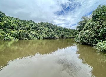 australia/daintree-rainforest/landmark/daintree-crocodile-tours