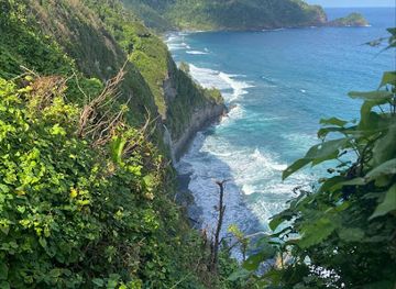 dominica/emerald-pool/landmark/wavine-cyrique-falls