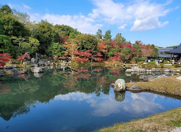 japan/kyoto-countryside/landmark/arashiyama-bamboo-forest