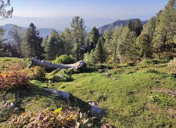 pakistan/ayubia-national-park/landmark/thandiani-top