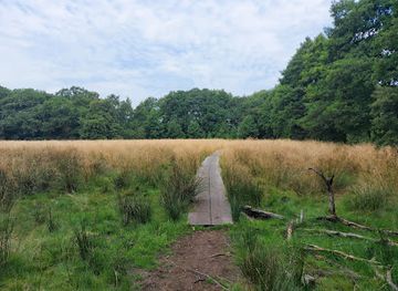 netherlands/drenthe/landmark/wolvenspoor