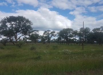 eswatini/mkhomazi-river-basin/landmark/hlane-royal-national-park