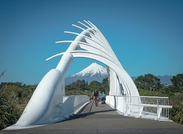new-zealand/taranaki/landmark/te-rewa-rewa-bridge