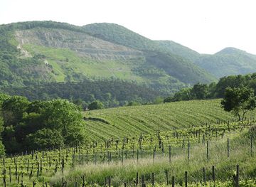 austria/vienna-woods/landmark/maurer-wald