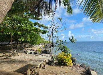 samoa/lalomanu-beach/landmark/palolo-deep-marine-reserve