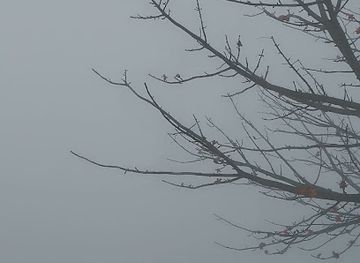 bangladesh/rajshahi/landmark/sagarpada-padmar-par