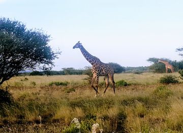 kenya/tsavo-national-park/landmark/tsavo-west-national-park