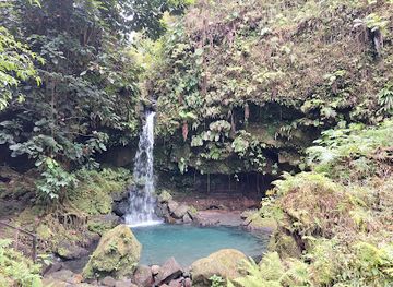 dominica/cabrits-national-park/landmark/emerald-pool