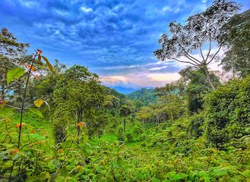 rwanda/mutara/landmark/uwinka-visitor-center