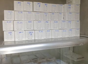 sierra-leone/freetown/landmark/kingtom-landfill-freetown