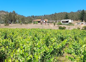 chile/tierra-del-fuego/landmark/raiz-de-fuego-casa-encuentro-turistico