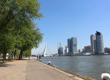 netherlands/rijnmond/landmark/monument-brandgrens-bombardement