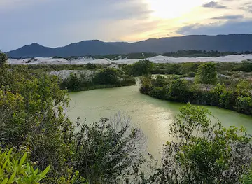 Dunes of Joaquina