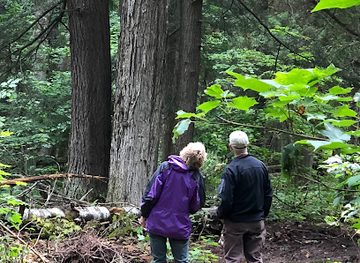wisconsin/madeline-island/landmark/madeline-island-wilderness-preserve