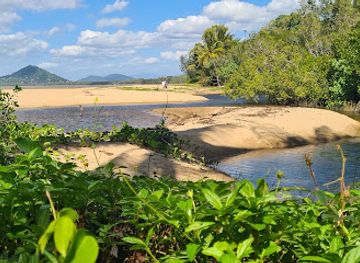 australia/cairns/palm-cove/landmark/palm-tree-tunnel
