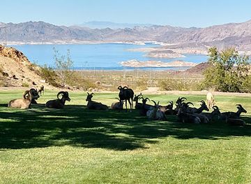 nevada/boulder-city/landmark/hemenway-park
