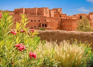 morocco/souss-massa/landmark/agadir-activities
