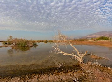 jordan/mujib-nature-reserve/landmark/mahmiat-fifa-natural