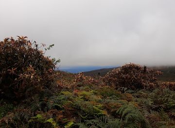 ecuador/oriente/landmark/galapaguera-de-cerro-colorado