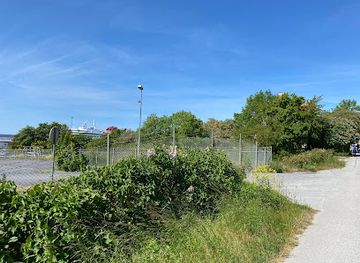 sweden/gotland/landmark/wikingergraberfeld-von-kopparsvik