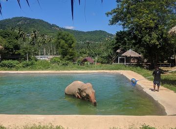 thailand/koh-samui/landmark/samui-elephant-sanctuary-bophut