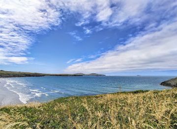 united-kingdom/pembrokeshire-coast-national-park/landmark/st-david-s-head-national-trust