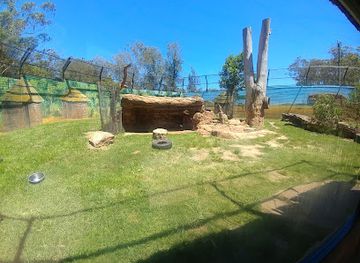 australia/great-southern/landmark/billabong-zoo-koala-wildlife-park