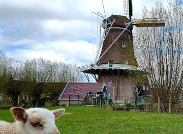 netherlands/wadden-islands/landmark/de-hoop-stiens