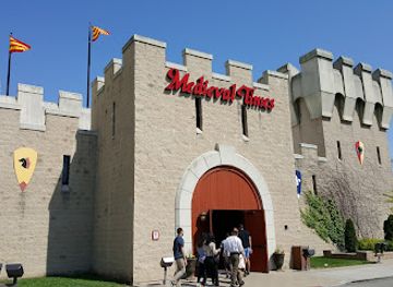 illinois/schaumburg/landmark/medieval-times-dinner-tournament