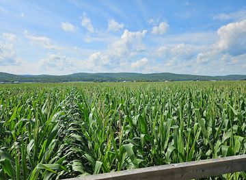 canada/lanaudiere/landmark/le-grand-labyrinthe-de-lanaudiere