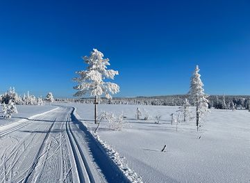 norway/trysil/landmark/ljordalen-church