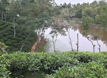 bangladesh/ratargul-swamp-forest/landmark/aliyashra-gulbahar-khasiya-punji