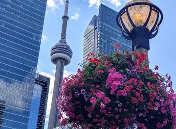 canada/central-canada/landmark/canada-s-walk-of-fame