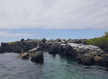 ecuador/galapagos-islands/landmark/pearl-shell