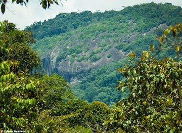 colombia/amazon/landmark/native-birding-colombia-tours