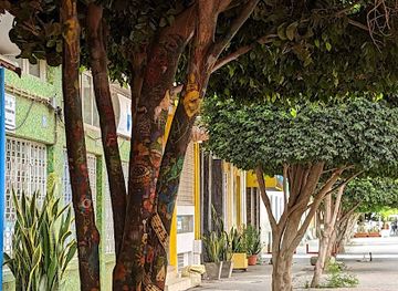 cabo-verde/fogo/landmark/d-concept-design-store