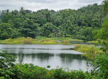 Butterfly Hill