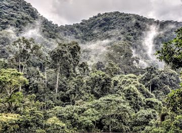 uganda/west-nile/landmark/bwindi-impenetrable-forest-national-park