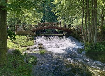 Bosna Spring