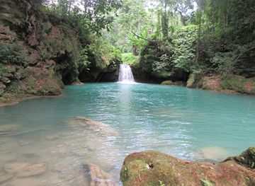 jamaica/south-coast/landmark/breadnut-valley-estate