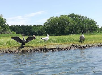 rhode-island/trustom-pond-national-wildlife-refuge/landmark/john-h-chafee-national-wildlife-refuge